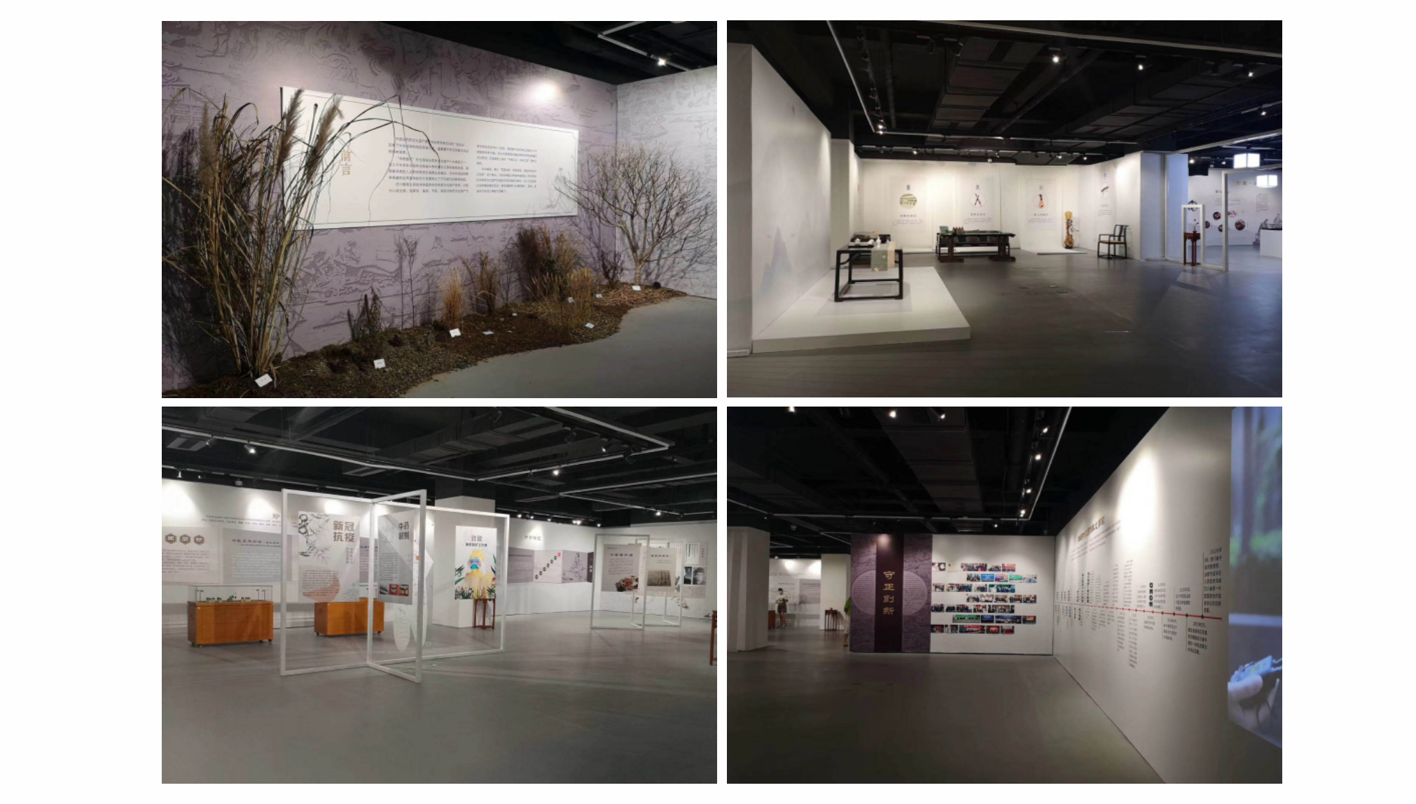 非遗传承健康生活——中医药之美专题展